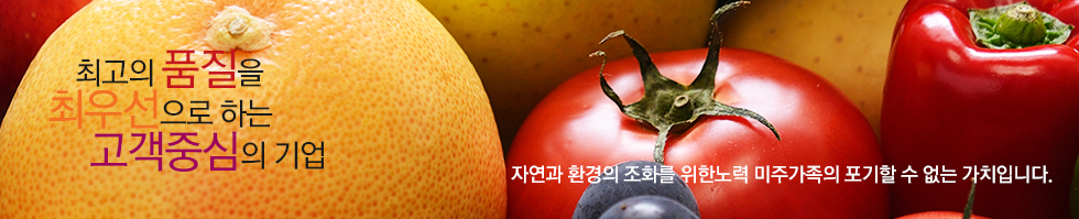 서브이미지